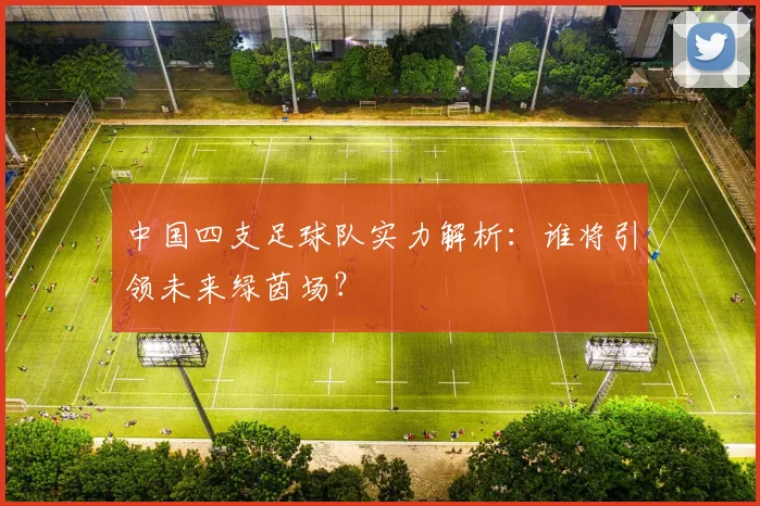 中国四支足球队实力解析:谁将引领未来绿茵场?
