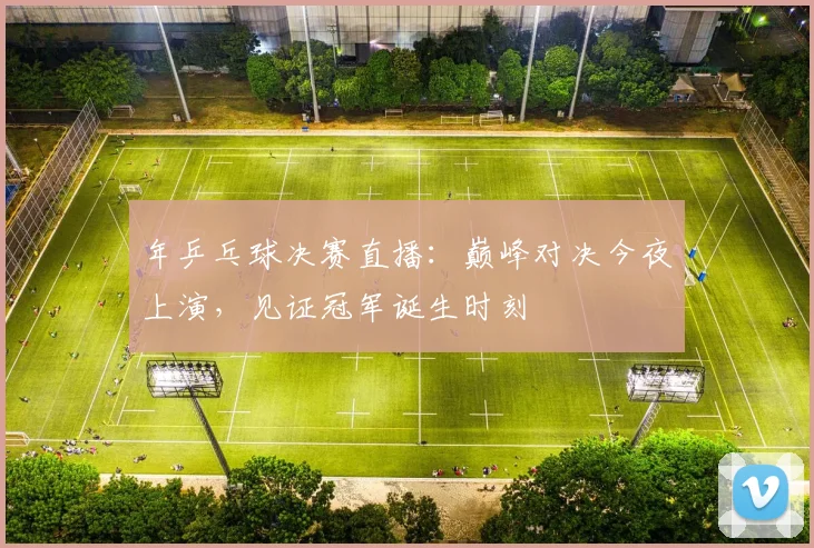 年乒乓球决赛直播：巅峰对决今夜上演，见证冠军诞生时刻