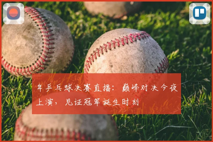 年乒乓球决赛直播：巅峰对决今夜上演，见证冠军诞生时刻